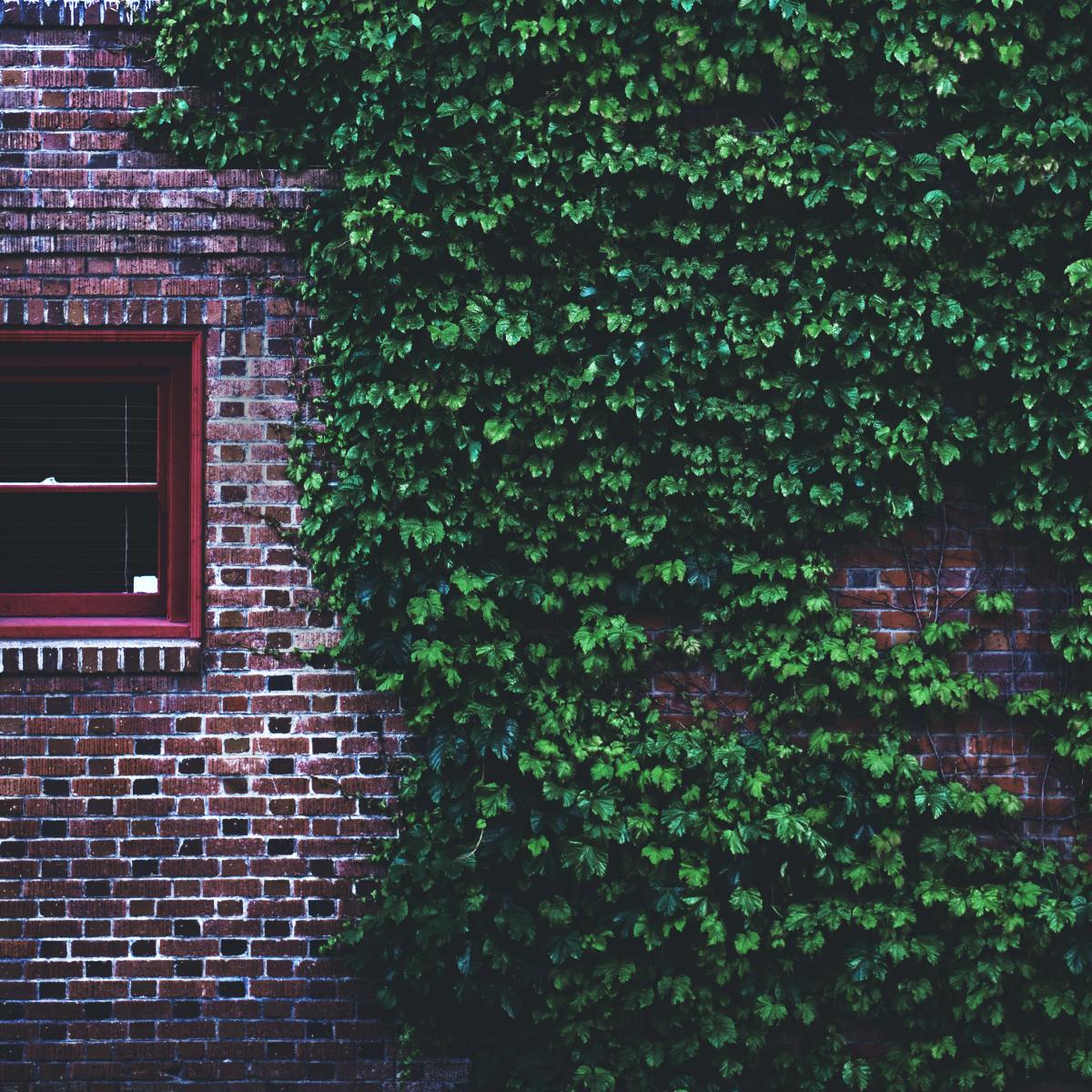 The Vulnerability of Hope: IVF Round&nbsp;One